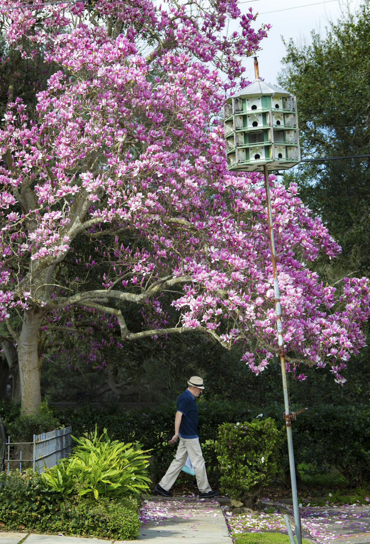 NO.warmweather.020819.cg.JPG (copy)